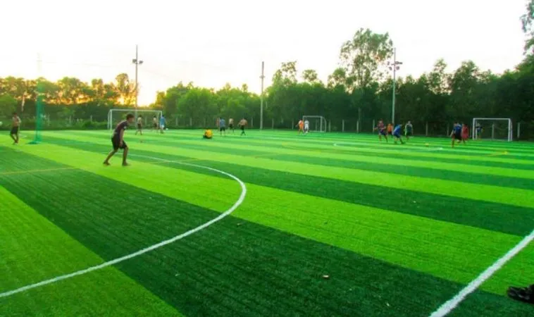 Tại Sao Kích Thước Sân Bóng Đá 9 Người Quan Trọng? Tìm Hiểu Ngay!